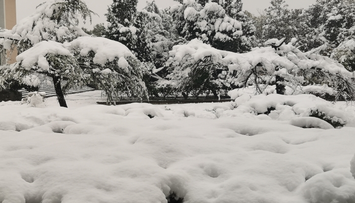 哪些 应对暴雪天气准备工作有哪些九游会网站暴雪天气路面应急措施有(图1)